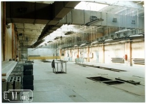 1993. Przygotowywanie obiektu pod projektowaną celulozownie w Cellinenie